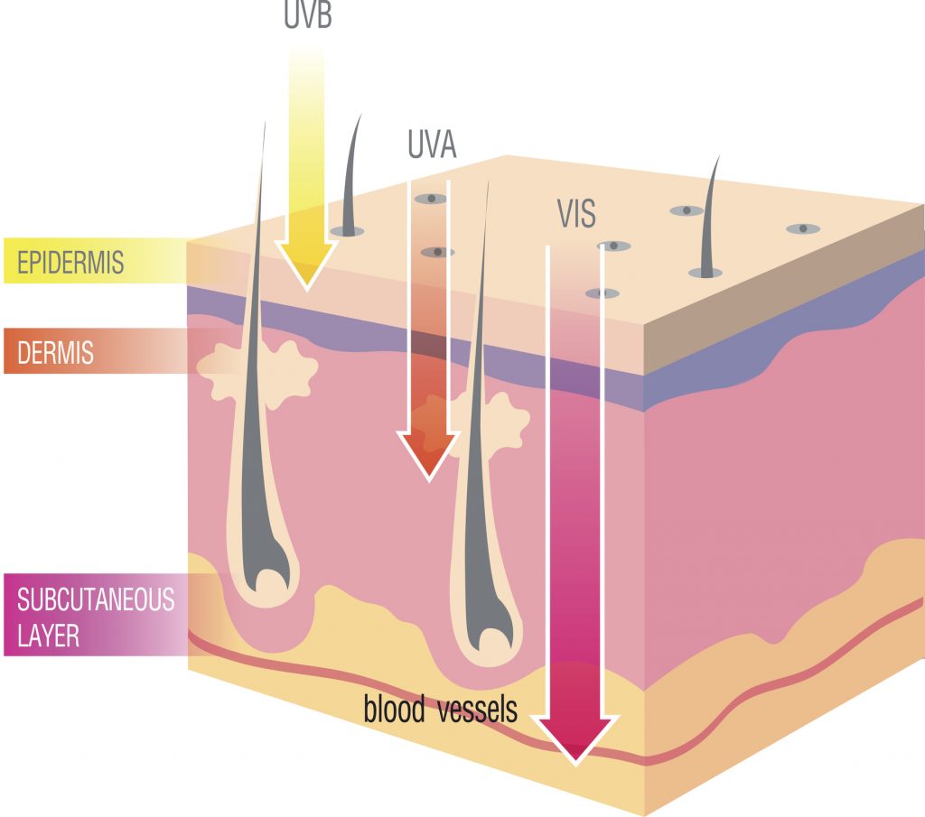 Ultraviolet (UV) Radiation