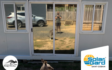 Animal Sanctuary Testimony BLOG (1)