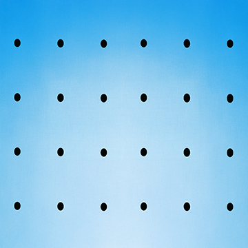 WingSafe Black Dot 1
