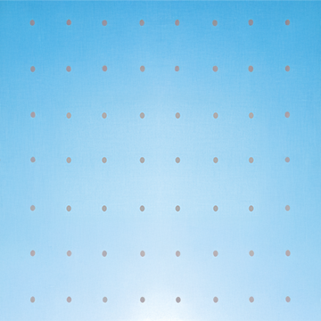 WingSafe Dot 3