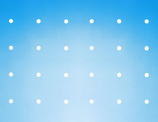 WingSafe White Dot 3